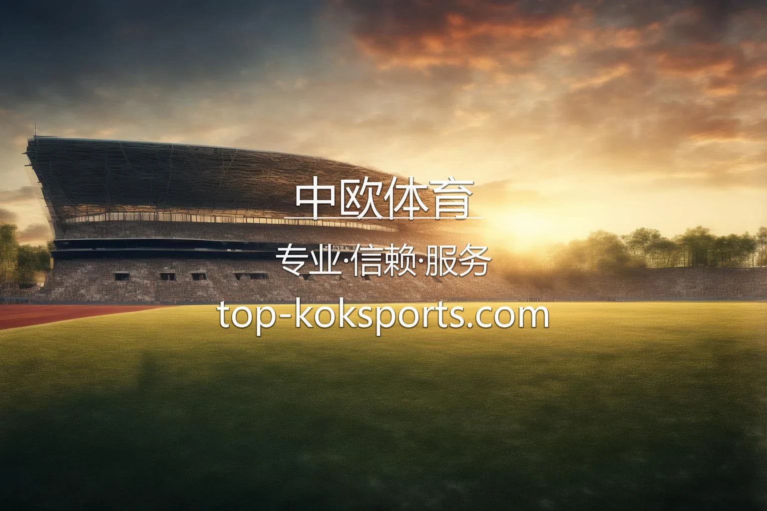 中欧体育官网极速视讯互动界面